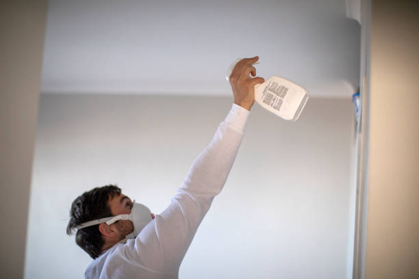 Best Black Mold Remediation in Lyons, IL