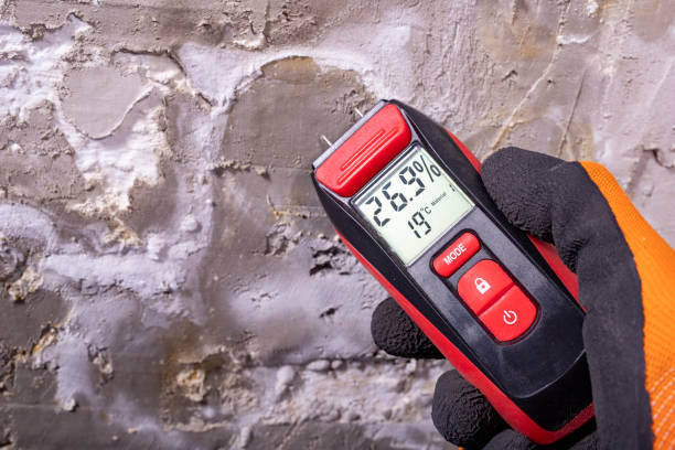 Best Mold Testing and Inspection Services in Lyons, IL
