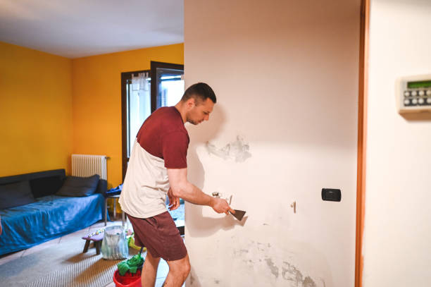 Best DIY Mold Remediation Support Services in Lyons, IL